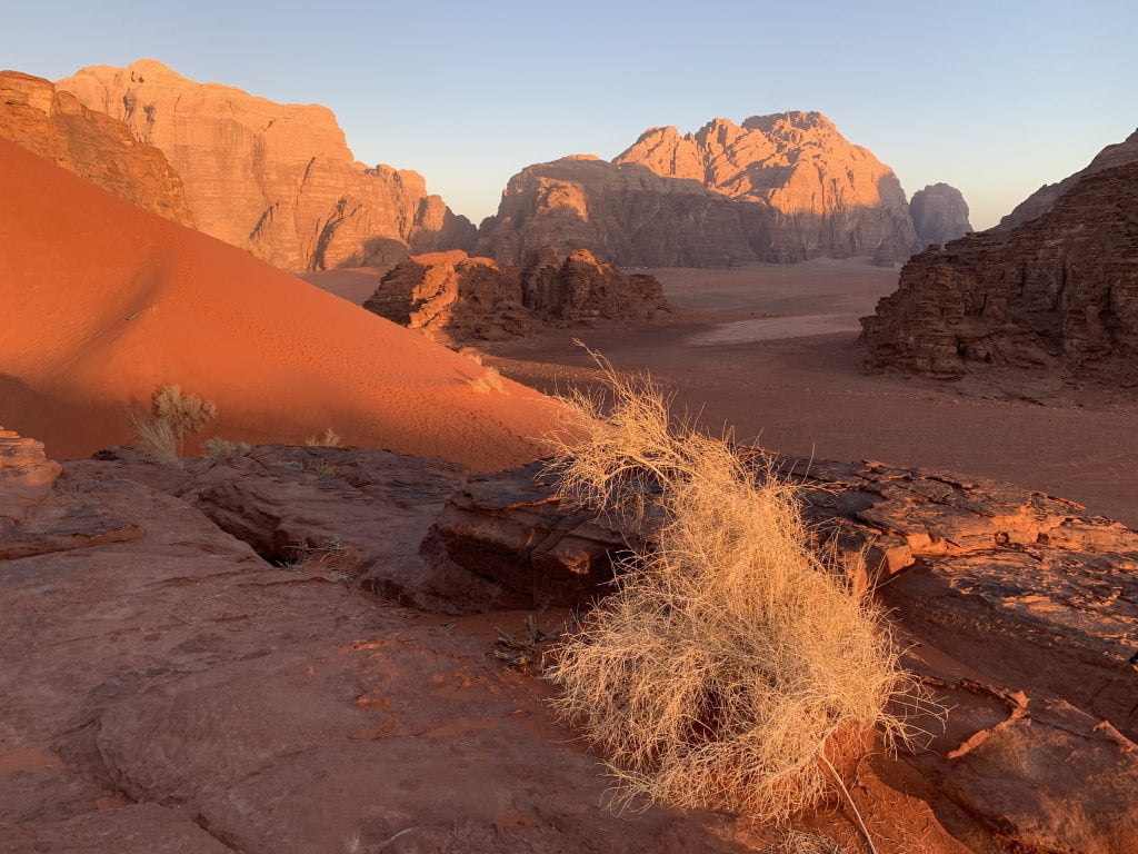 foto panoramica