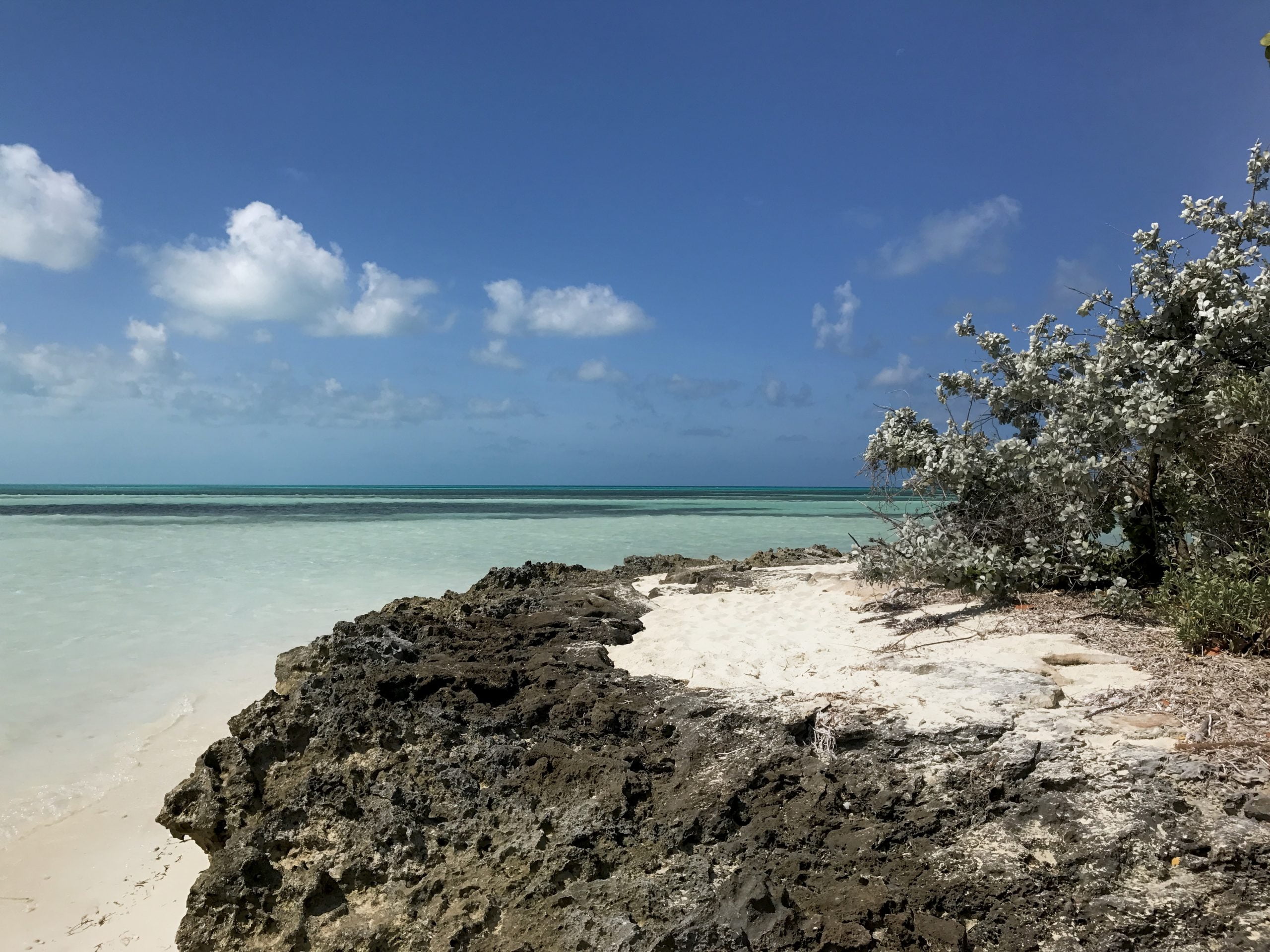 Isola di Coco Cay - Bahamas