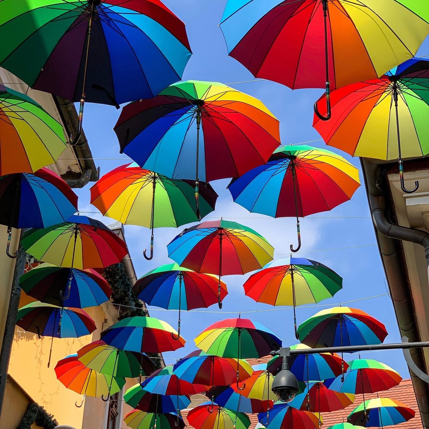 Ombrelli colorati per le vie di Szentendre