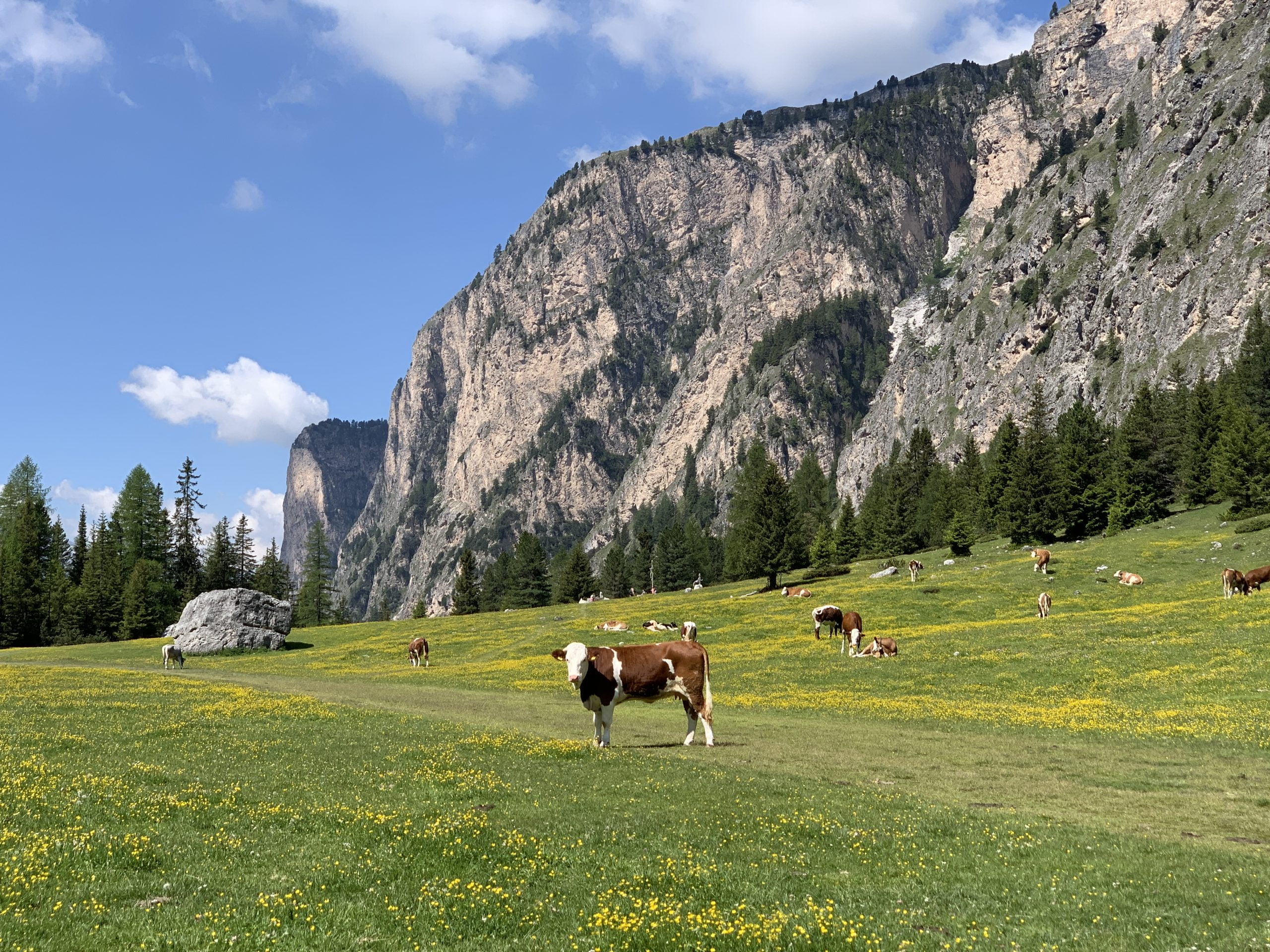 Scopri di più sull'articolo Vallunga: passeggiata tra le montagne della Val Gardena