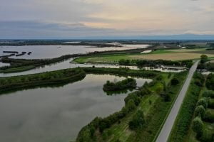 Scopri di più sull'articolo Vallevecchia: un’oasi naturalistica sul Litorale Veneto