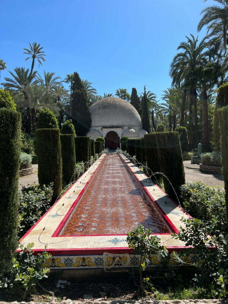 Palmeto di Elche
