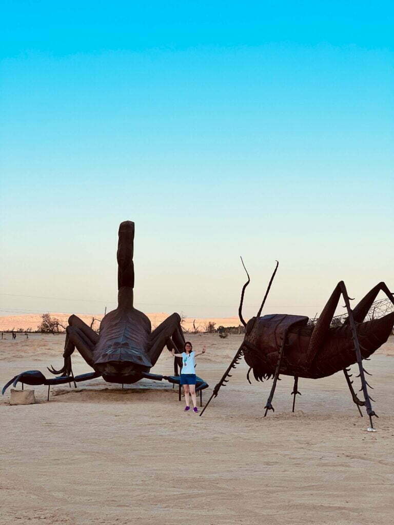 Scorpione e cicala nell'Anza-Borrego Desert Park