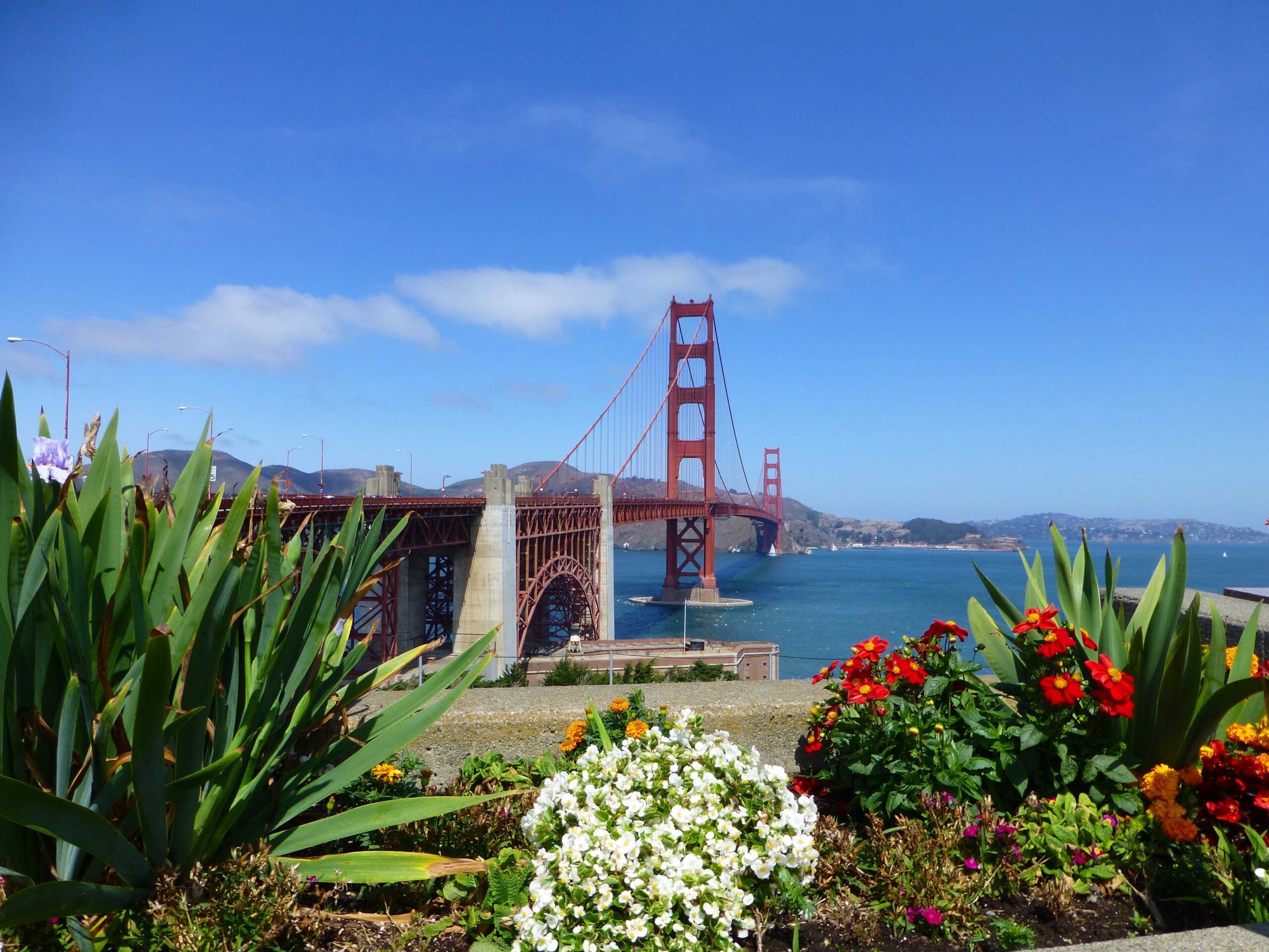 Al momento stai visualizzando Cosa vedere a San Francisco in 4 giorni