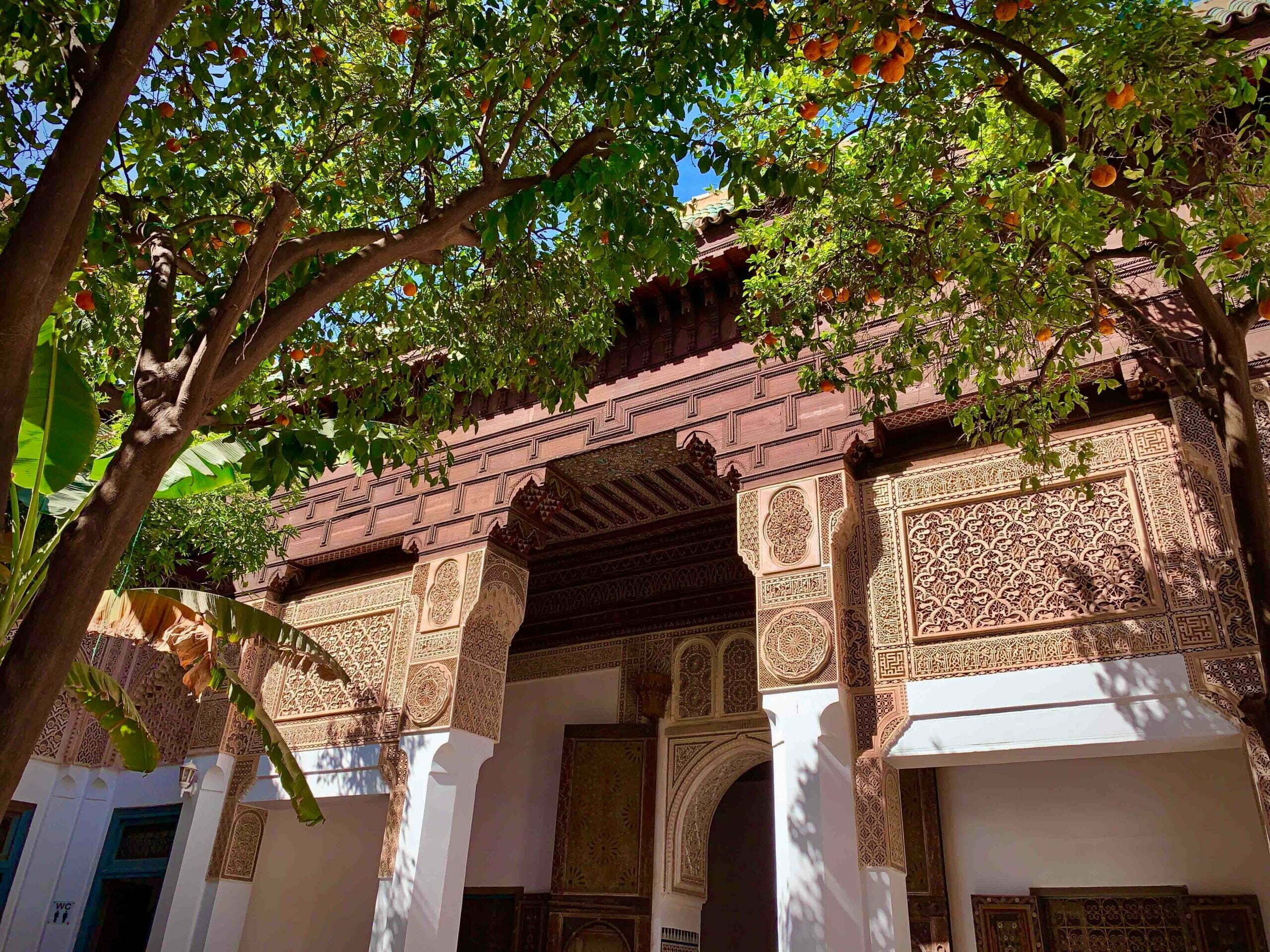 Scopri di più sull'articolo Marocco in cinque giorni: itinerario da Fez a Marrakech tra arte, natura ed esperienze uniche
