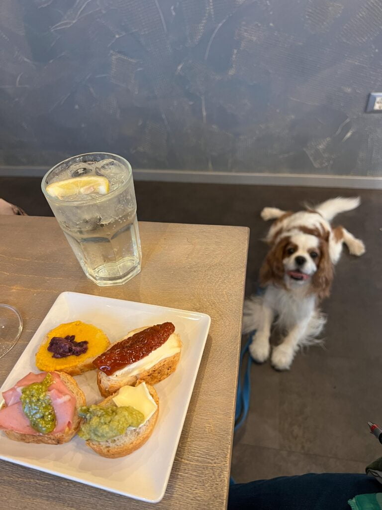 Padova dogfriendly