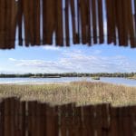 Oasi Naturalistica Val Grande Bibione: un tesoro tutto da esplorare