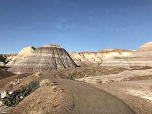 Scopri di più sull'articolo Petrified Forest National Park: uno dei parchi meno conosciuti negli States
