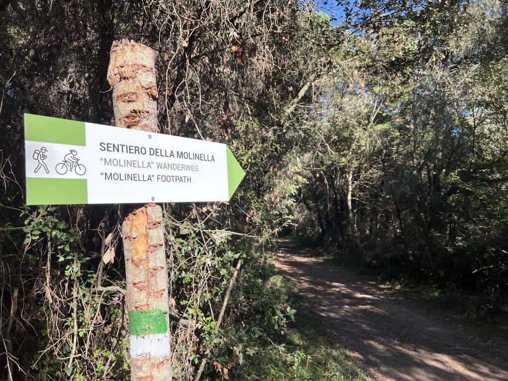 Sentiero della Molinella val Grande Bibione