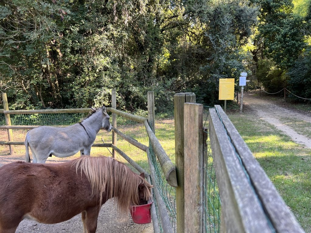 escursione a cavallo Val Grande Bibione