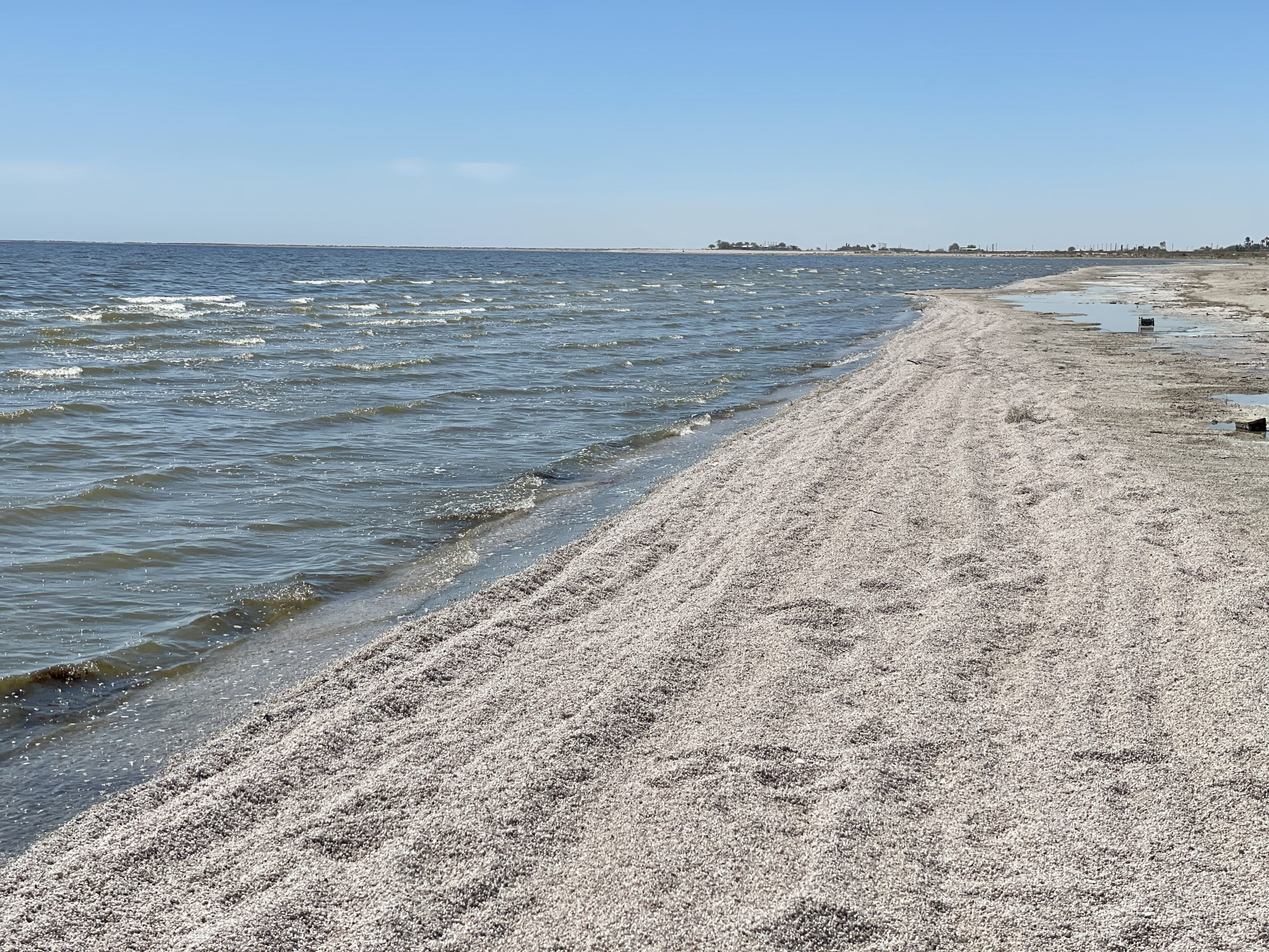Scopri di più sull'articolo Salton Sea: il disastro ambientale del lago più grande della California